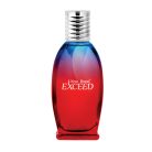 Apa de toaleta  New Brand Exceed 100ml, barbati  / Replica  Christian Dior-Fahrenheit