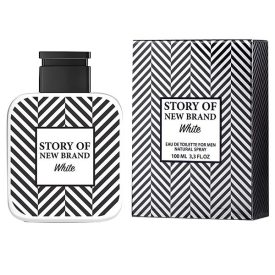   Parfum  Story of New Brand White 100ml EDT / Replica  Mont Blanc - Legend Spirit