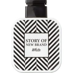   Parfum  Story of New Brand White 100ml EDT / Replica  Mont Blanc - Legend Spirit